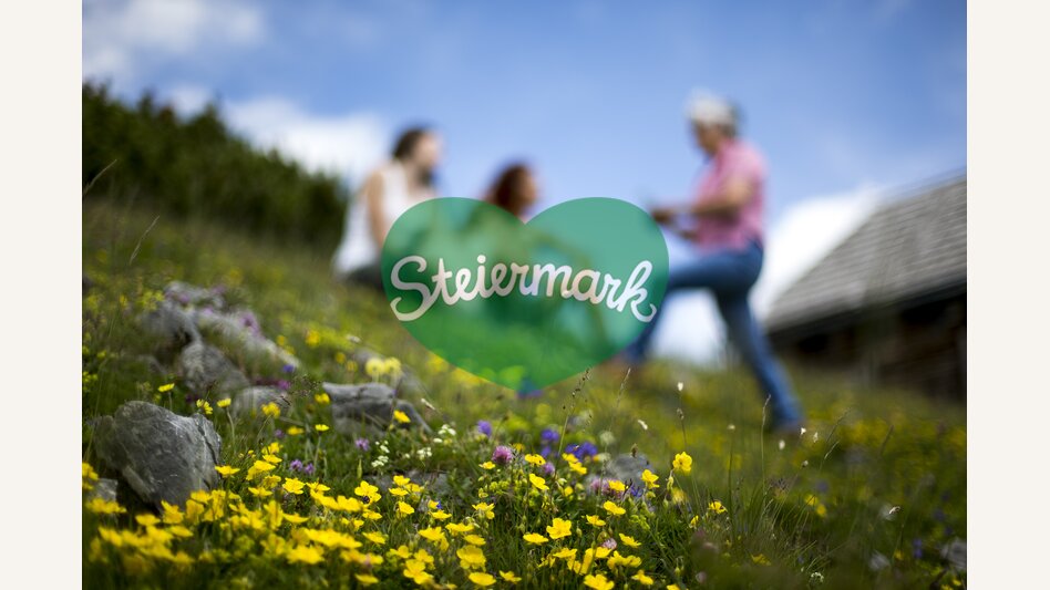 Blumen auf der Aflenzer Bürgeralm  | © TV Hochsteiermark | Tom Lamm