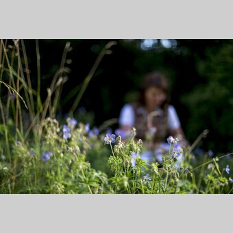 Kräutergarten | © STG | Tom Lamm