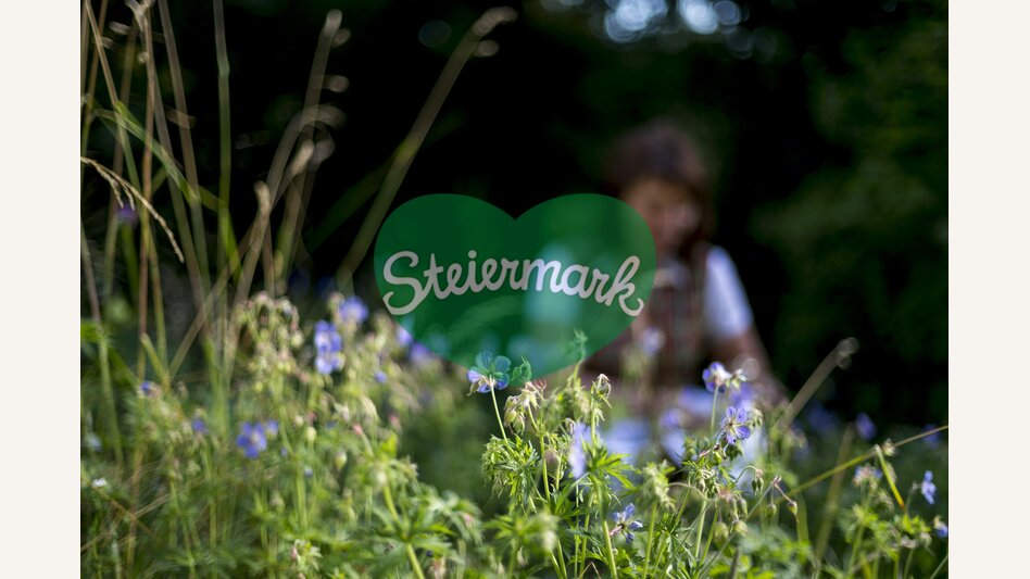 Kräutergarten | © STG | Tom Lamm