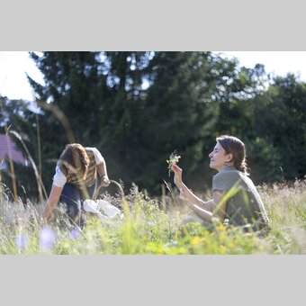 In der Blüten- und Kräuterwiese | © STG | Tom Lamm
