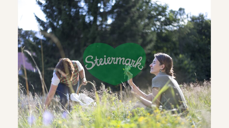 In der Blüten- und Kräuterwiese | © STG | Tom Lamm