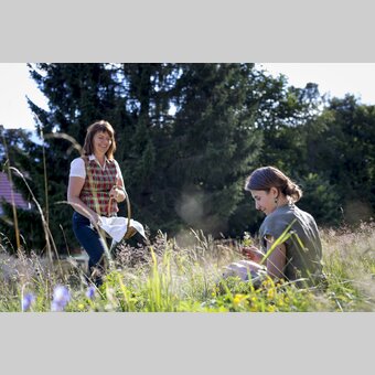 Beim Kräuter sammeln | © STG | Tom Lamm