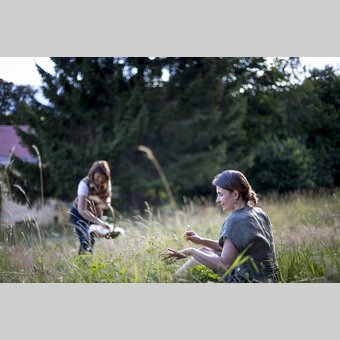 Auf der Kräuter- & Blumenwiese | © STG | Tom Lamm
