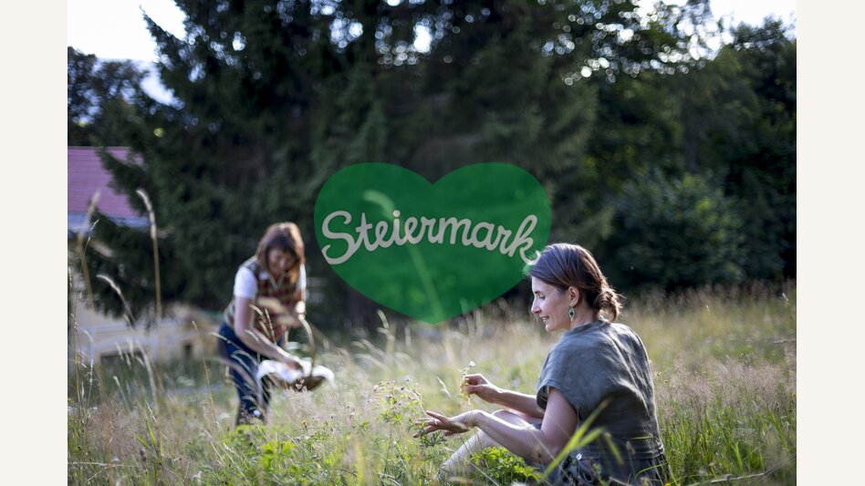 Auf der Kräuter- & Blumenwiese | © STG | Tom Lamm