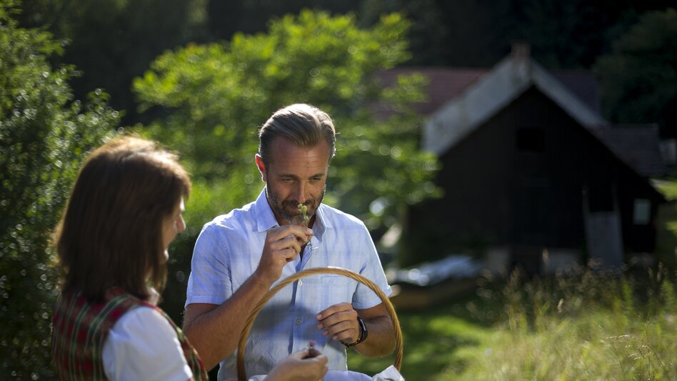 Herbs educationist and Green Power-compagnion margrit Krenn at work, country estate Pichlschloss and Mühlen, Naturpark Zirbitzkogel-Grebenzen | © Steiermark Tourismus | Tom Lamm
