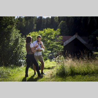 Kräuter sammeln | © STG | Tom Lamm