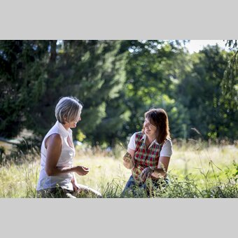 Auf der Blumen- und Kräuterwiese | © STG | Tom Lamm