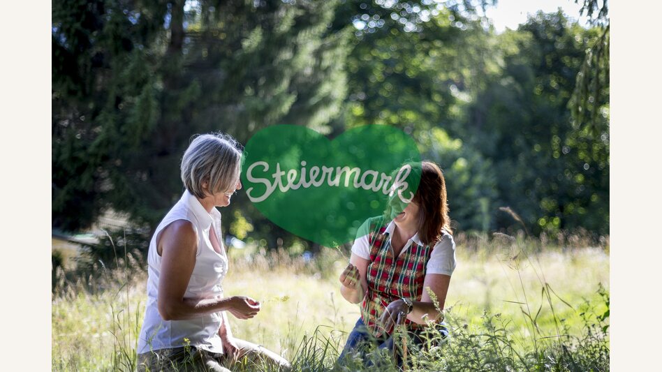 Auf der Blumen- und Kräuterwiese | © STG | Tom Lamm