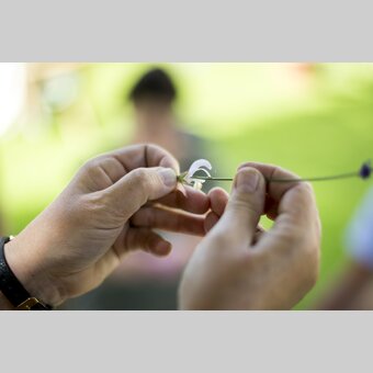 Beim Kräuterseminar | © STG | Tom Lamm