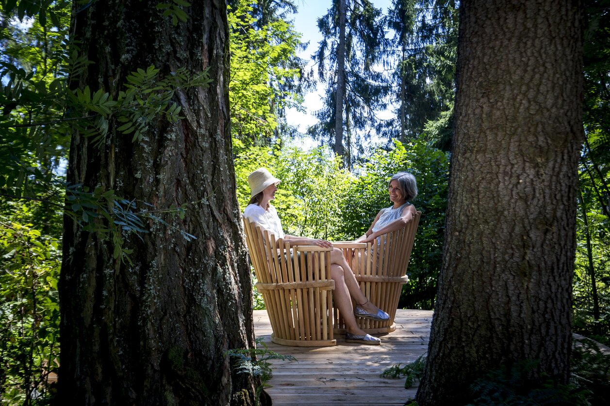 A cosy spot in the forest | © Steiermark Tourismus | Tom Lamm