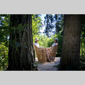 Ein lauschiger Platz im Wald | © STG | Tom Lamm