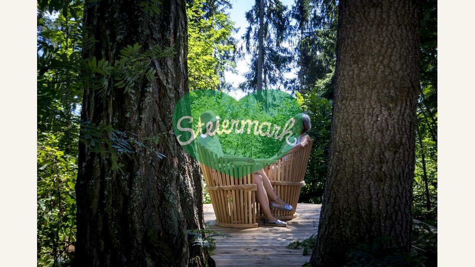Ein lauschiger Platz im Wald | © STG | Tom Lamm