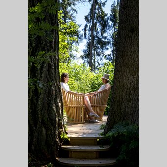 Ein lauschiger Platz im Wald | © STG | Tom Lamm