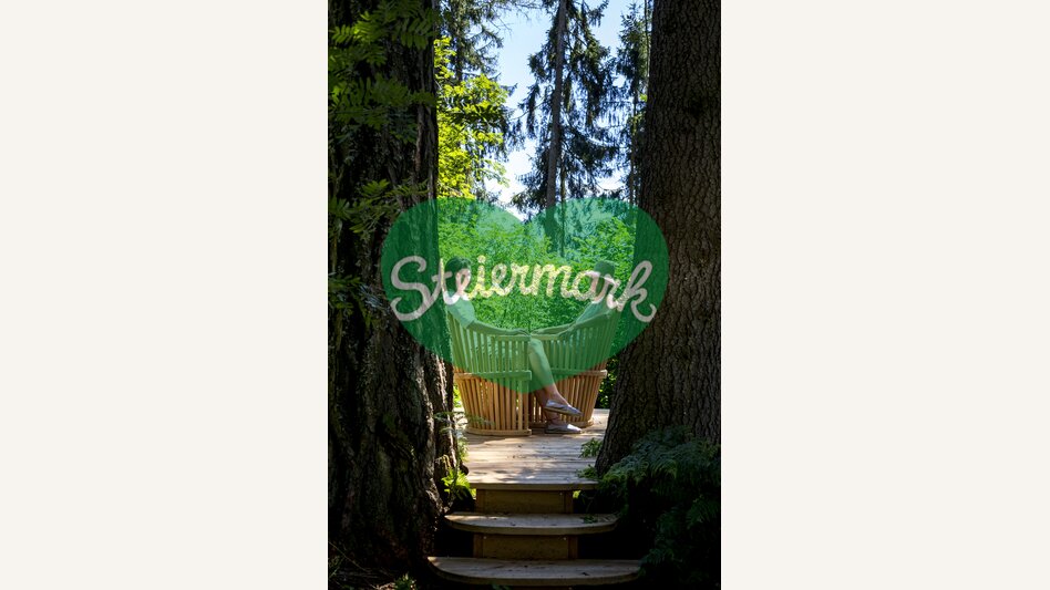 Ein lauschiger Platz im Wald | © STG | Tom Lamm