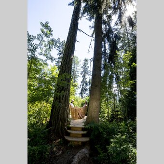 Ein lauschiger Platz im Wald | © STG | Tom Lamm