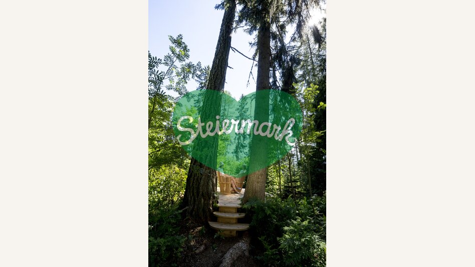 Ein lauschiger Platz im Wald | © STG | Tom Lamm