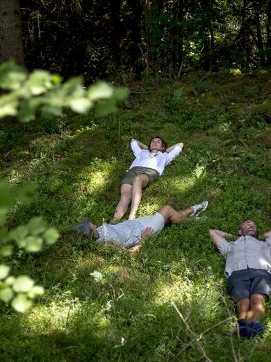 Forest bathing in the Green Heart of Austria | © Steiermark Tourismus | Tom Lamm