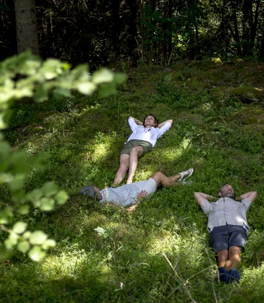 Forest bathing in the Green Heart of Austria | © Steiermark Tourismus | Tom Lamm