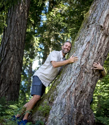 Forest bathing in the Green Heart of Austria | © Steiermark Tourismus | Tom Lamm