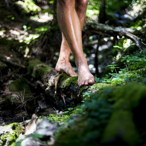 Barfußgehen im Wald | © STG | Tom Lamm