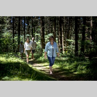 Waldbaden im Grünen Herz | © STG | Tom Lamm
