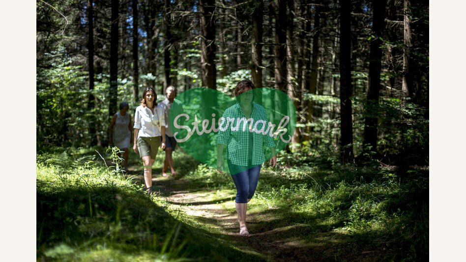 Waldbaden im Grünen Herz | © STG | Tom Lamm