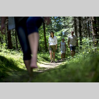 Barfußgehen im Wald | © STG | Tom Lamm