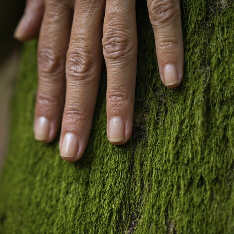 Waldbaden im Grünen Herz | © STG | Punkt & Komma