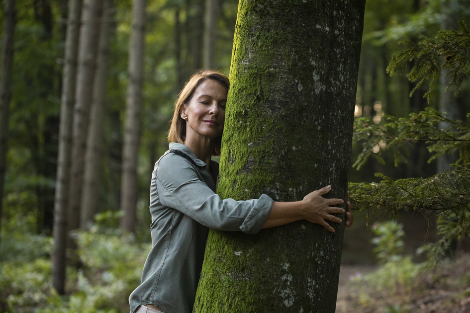Time out in the forest | © Steiermark Tourismus | Punkt & Komma