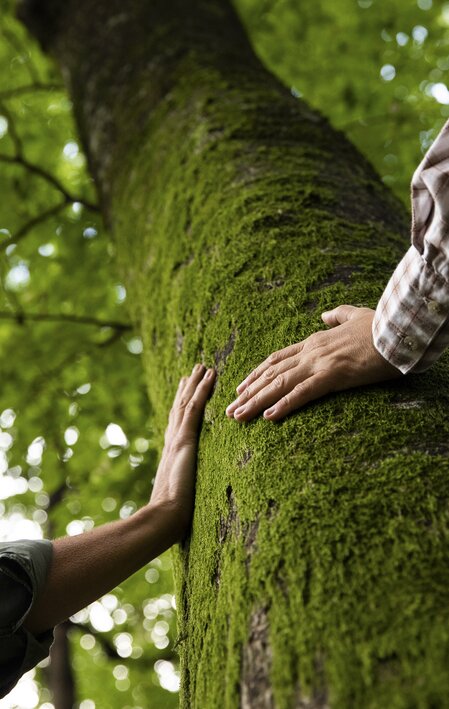 Time out in the forest | © Steiermark Tourismus | Punkt & Komma