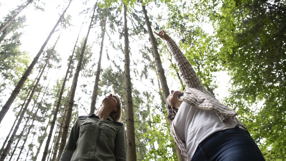 Time out in the forest | © Steiermark Tourismus | Punkt & Komma