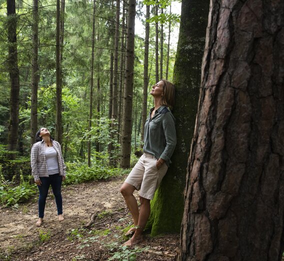 Time out in the forest | © Steiermark Tourismus | Punkt & Komma
