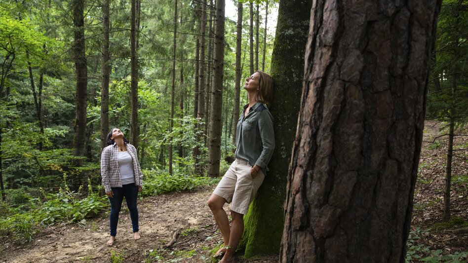Time out in the forest | © Steiermark Tourismus | Punkt & Komma