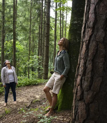 Time out in the forest | © Steiermark Tourismus | Punkt & Komma