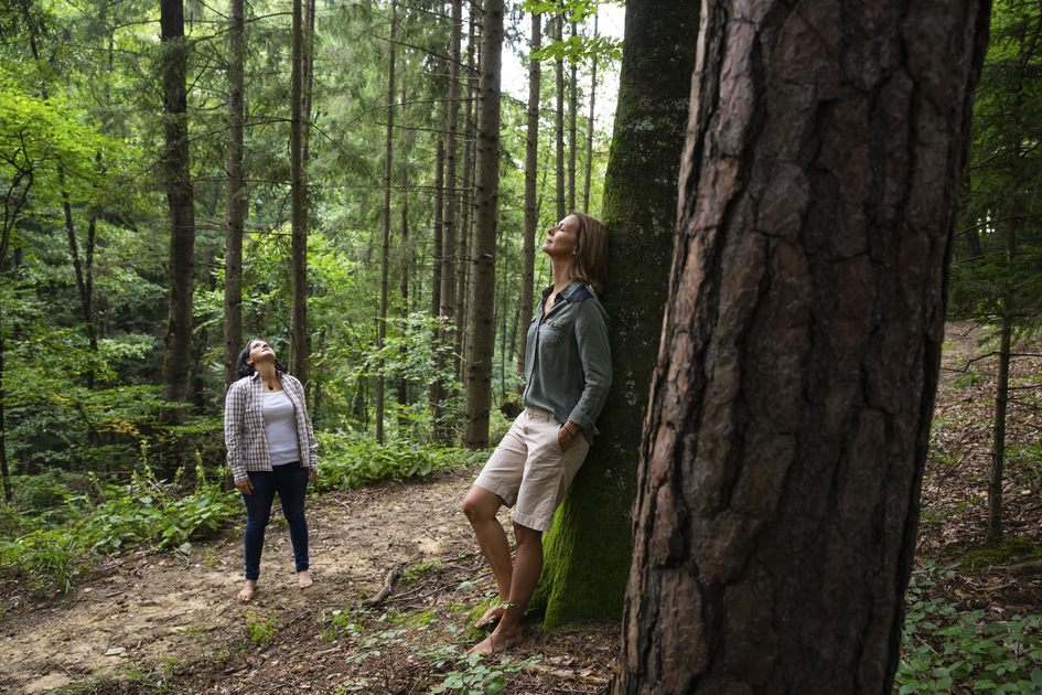 Waldbaden im Grünen Herz | © STG | Punkt & Komma