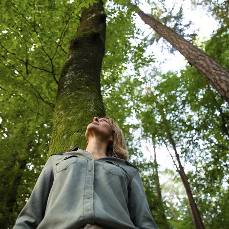 Waldbaden im Grünen Herz | © STG | Punkt & Komma