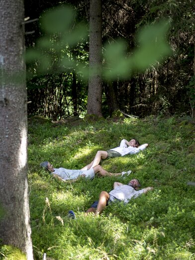 Forest bathing in the Green Heart of Austria | © Steiermark Tourismus | Tom Lamm