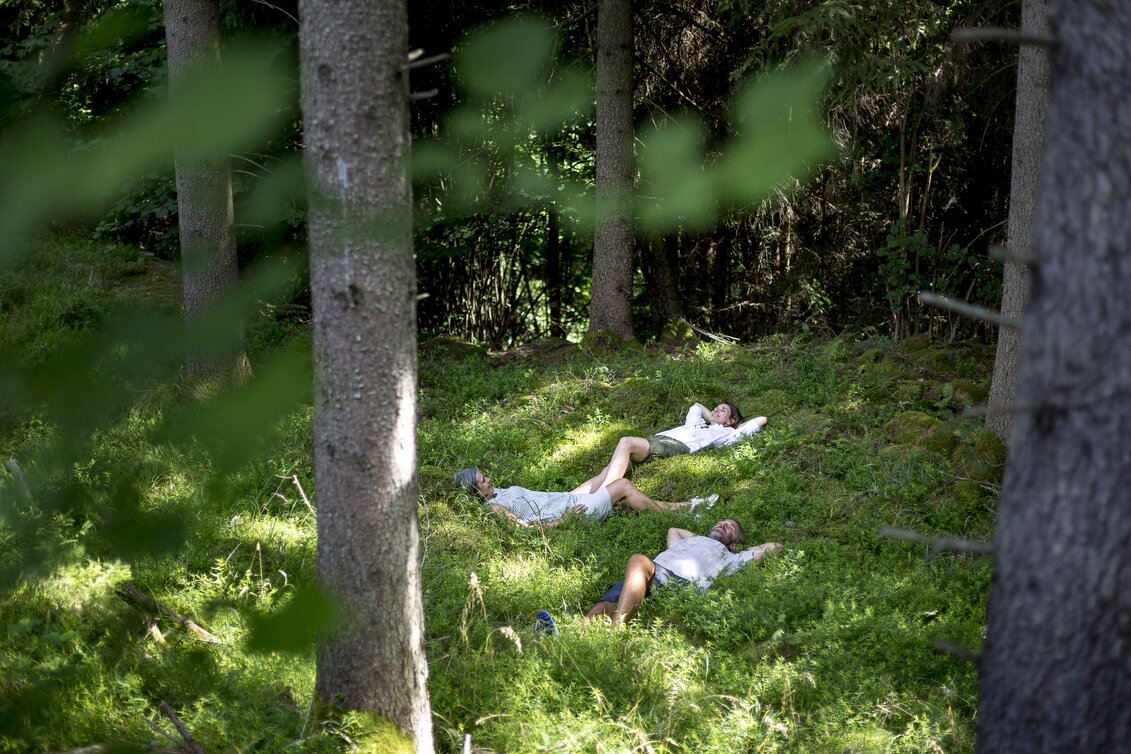 PackageForest bathing in Hochsteiermark - Recharge your batteries in the forest
