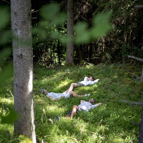 Waldbaden im Grünen Herz | © STG | Tom Lamm