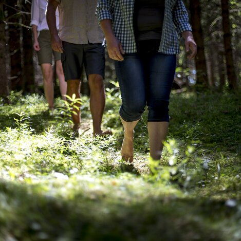 Waldbaden im Naturpark Zirbitzkogel-Grebenzen | © STG | Tom Lamm