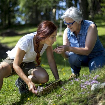 Kräuterschätze | © TV Hochsteiermark | Tom Lamm