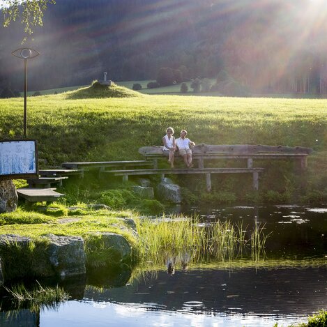 Die Zeutschacher Ursprungsquelle | © STG | Tom Lamm