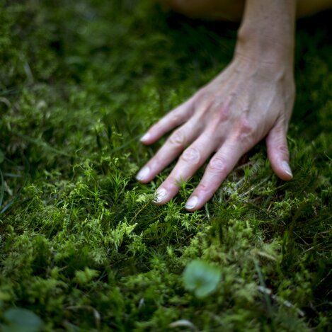 Grünkraft Steiermark  | © STG | Tom Lamm