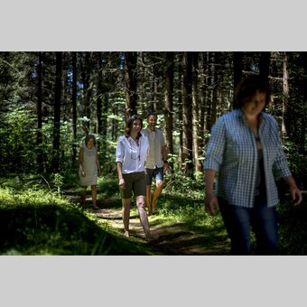 Waldbaden im Grünen Herz | © STG | Tom Lamm