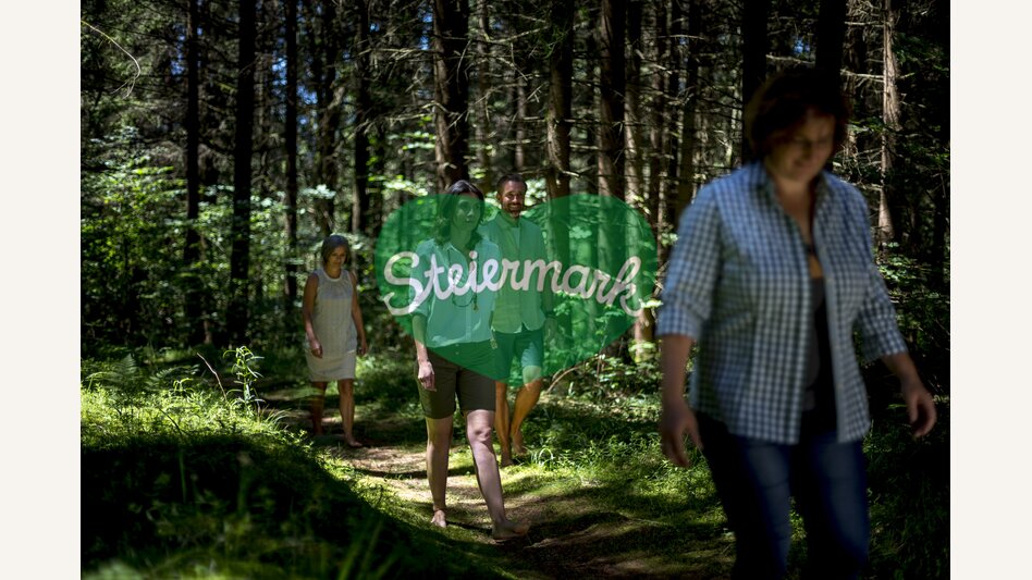 Waldbaden im Grünen Herz | © STG | Tom Lamm