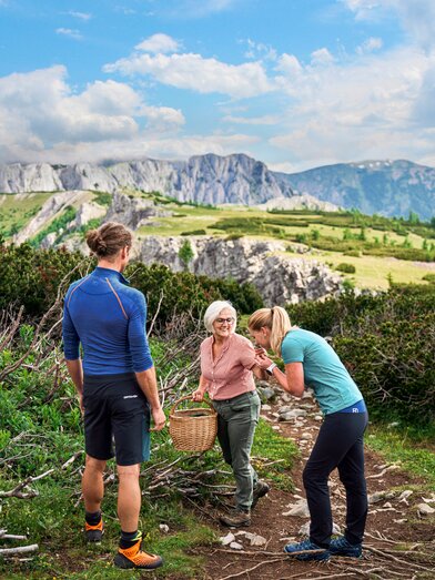 Hiking on the Aflenzer Bürgeralm | © TV Hochsteiermark | Robert Maybach