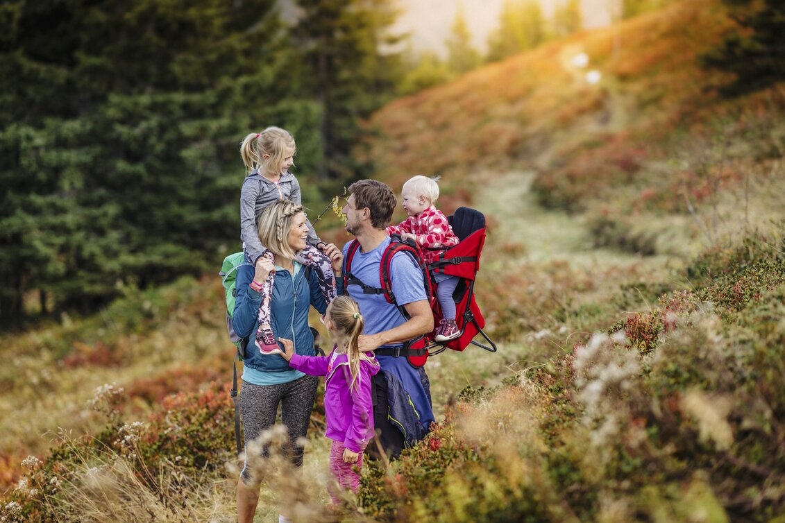 Wandern im Herbst | © STG | photo-austria.at
