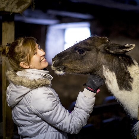 tierische Begegnung beim Urlaub am Bauernhof in St. Blasen | © STG | Tom Lamm