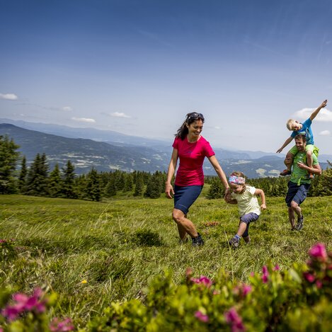 Frühlingswanderung zur Almrauschblüte auf der Frauenalpe | © STG | Tom Lamm