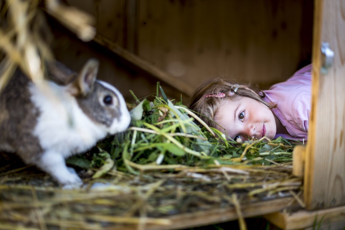 Wer wildert da im Hasenstall? :-) | © STG | Tom Lamm